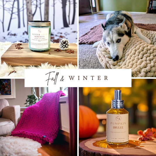 Cozy Home Decor Ideas for Fall/Winter